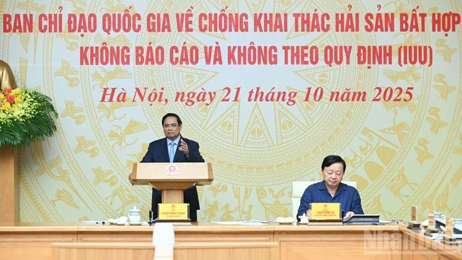 Thủ tướng Phạm Minh Chính: Đánh giá cán bộ thực hiện chống khai thác IUU theo Quy định của Bộ Chính trị
